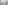 Sample Placeholder Image