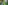 Sample Placeholder Image